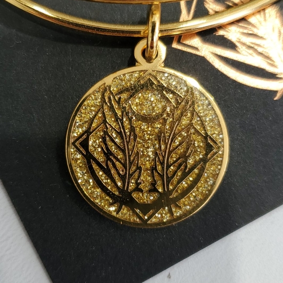 Alex and Ani Godspeed Sparkle Journey Brac… - Picture 2 of 6